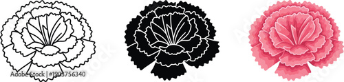 Collection of carnation flower icons including outline silhouette and color vector graphics for design use