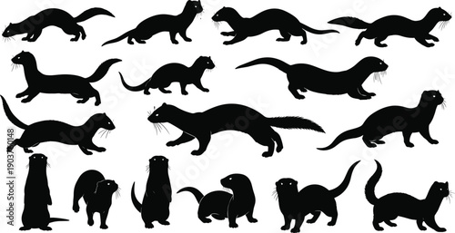 Weasel and ferret silhouette set, black otter vector collection, isolated mustelid mammal icons for nature design, wild mink illustration, stoat, ermine, running.
