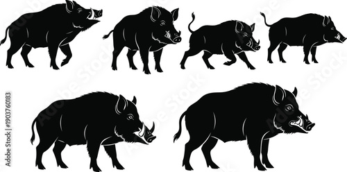 Wild boar silhouette set, black hog vector collection, angry pig animal icons, isolated mammal shapes for hunting design illustration, tusk, forest, nature.