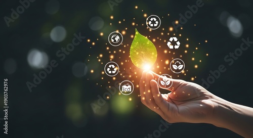 Sustainable Development and Eco-Friendly Practices.