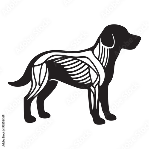Black silhouette of a dog revealing its skeletal and muscular system
