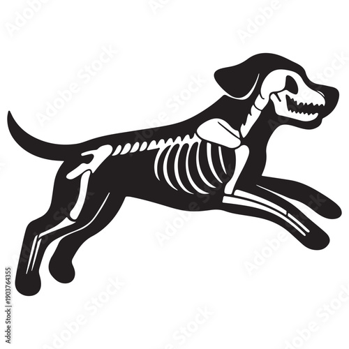 Playful dog silhouette with visible internal skeleton, illustrating anatomy and movement.