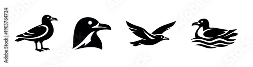 Seagull silhouettes collection: standing, flying, and swimming - flat vector illustration