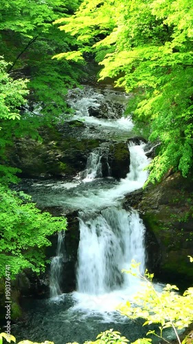新緑の鳳鳴四十八滝【宮城県仙台市】
