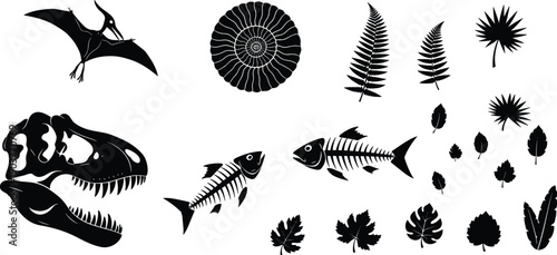 Prehistoric fossil silhouettes illustration, dinosaur skull vector, pterosaur flying reptile drawing, ammonite fossil sketch, fish skeleton artwork, plant imprint design