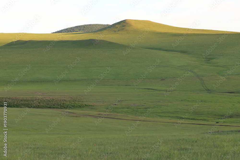 Fototapeta premium Grasslands in Hulunbuir region, Inner Mongolia