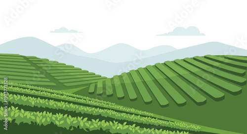 Lush green terraced fields on rolling hills with distant mountains under a bright sky, depicting an agricultural landscape.
