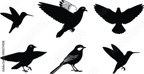 Set of flying bird silhouettes, black hummingbirds with long beaks, soaring pigeon dove, sparrow sitting, nature vector illustrations collection isolated on white background.