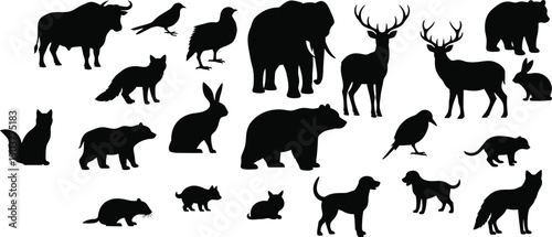 Diverse Wildlife Silhouettes Set