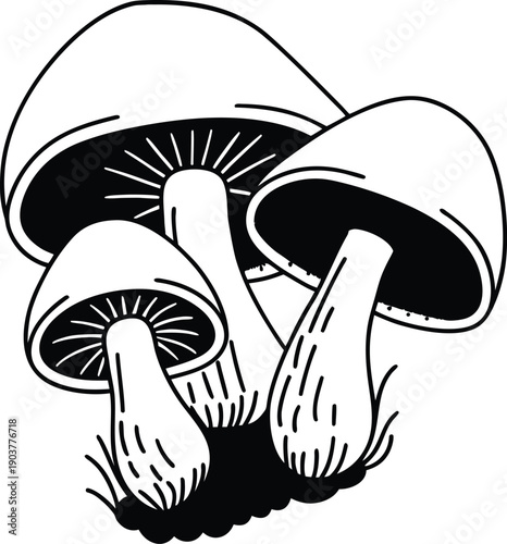 silhouette of a mushroom 