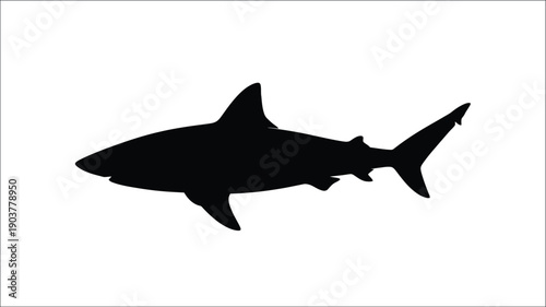 Black shark swimming in ocean waters a dramatic silhouette