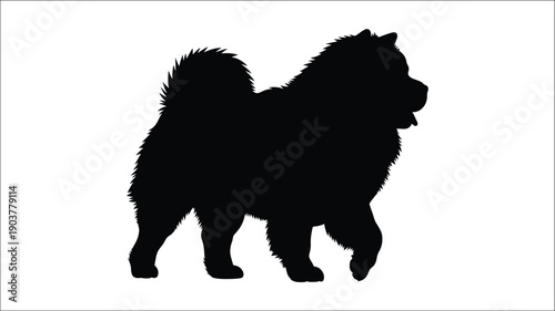 A striking black silhouette of a fluffy chow chow dog
