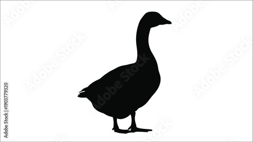 A striking black goose form against a white background silhouette