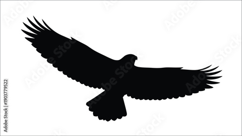 A black silhouette of a bird in mid flight wings spread silhouette