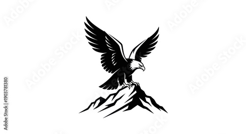 Eagle perched on mountain vector