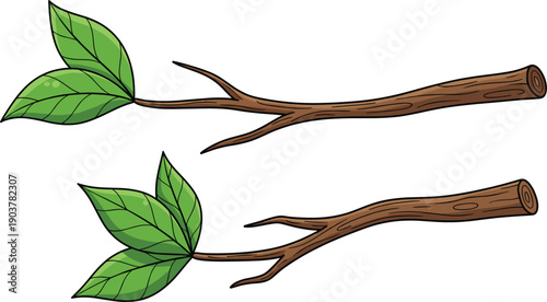 Minimalist tree branch vector set with vibrant green leaves and realistic bark texture in a hand drawn cartoon style isolated on white.