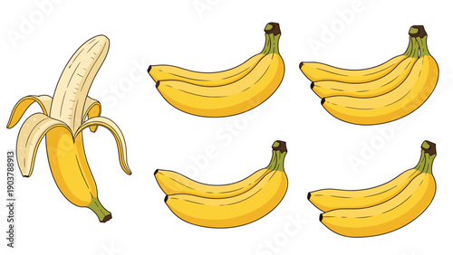 Collection of hand drawn yellow bananas showing single peeled fruit and various sized clusters for healthy diet concepts.