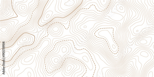 topographic line contour map background, Topographic map and landscape terrain texture grid, Abstract lines background.Contour line background graphic. Concept of simple geography and terrain.
