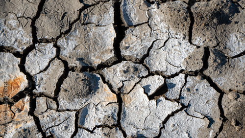 Schilderij op canvas Rough, desiccated ground marked by widening cracks that trace the slow breakdown