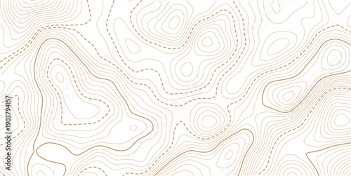 abstract golden topography background. gold topo. seamless background.Topographic map background geographic line map with elevation assignments.Use for template, wallpaper, web vector illustration.