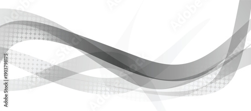 Abstract grey curve shapes background. Smooth and clean subtle texture creative design. Modern bright color graphic element. Suit for poster, brochure, presentation, website, flyer