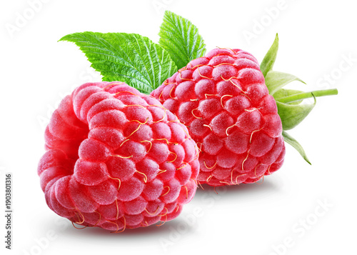 Tableau sur toile Two juicy ripe raspberries with leaf isolated on transparent background