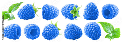 Tableau sur toile Set of juicy ripe blue raspberries with leaves isolated on transparent background