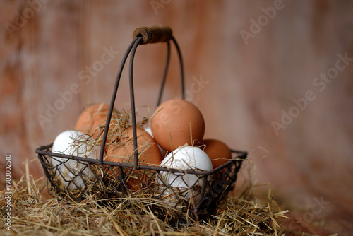 Eier im Korb