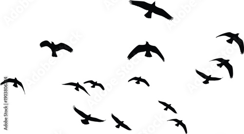 Flying bird silhouettes isolated on white background, symbolizing freedom, migration, wildlife, nature, minimalist art, motion, flock, sky concept