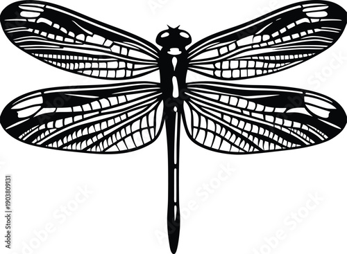 Big summer vacations icon set. Vector thin line illustrations with objects, activities and places related with traveling, tourism, outdoors in the beach and mountain, camping, resorts and hotels.
