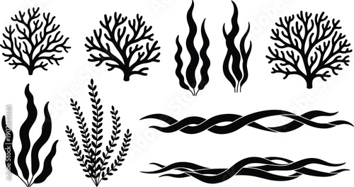 Seaweed silhouette collection, marine algae coral plants, ocean botanical elements, underwater nature design, black vector illustration set