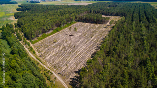 Fotografie illegal deforestation view from the drone