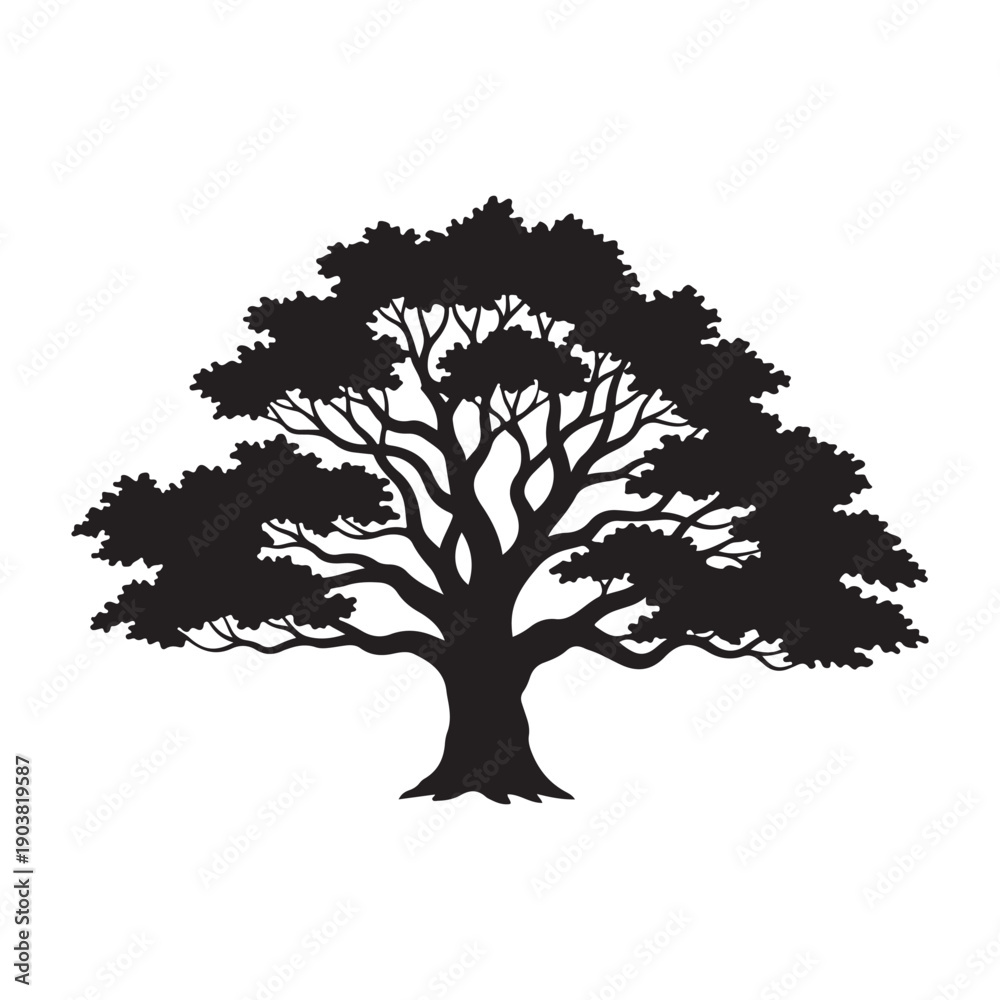 Fototapeta premium Black vector silhouette of a large oak tree with dense foliage and strong branches, isolated on Transparent Background