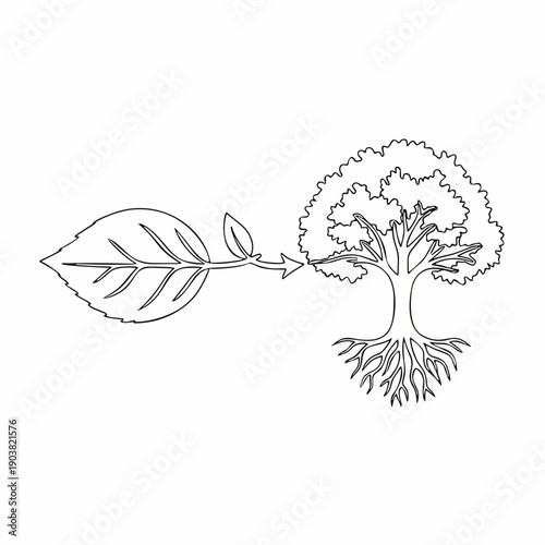 One line art illustration of a leaf transforming into a tree, growth and ecology concept, sustainability vector