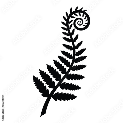 Black and white fern frond with unfurling spiral koru tip in silhouette style d