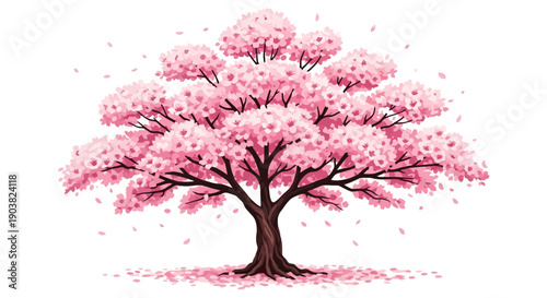Beautiful cherry blossom tree with pink petals falling
