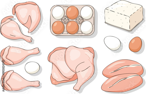 Fresh Farm Ingredients Chicken, Eggs, and Tofu Still Life