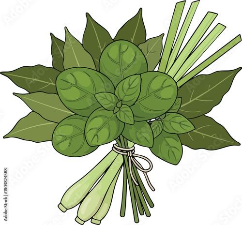 Aromatic Herb Bouquet Fresh Basil, Bay Leaves & Lemongrass Illustration