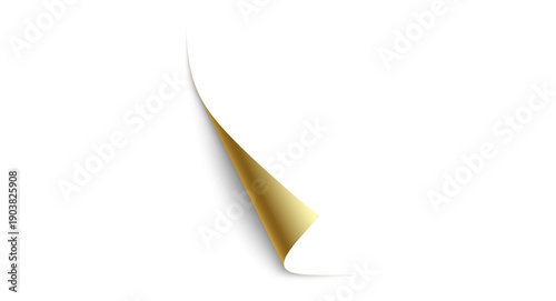 Konstfotografi Blank page with curled edge corner and shadow