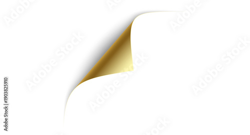 Konstfotografi Blank page with curled edge corner and shadow