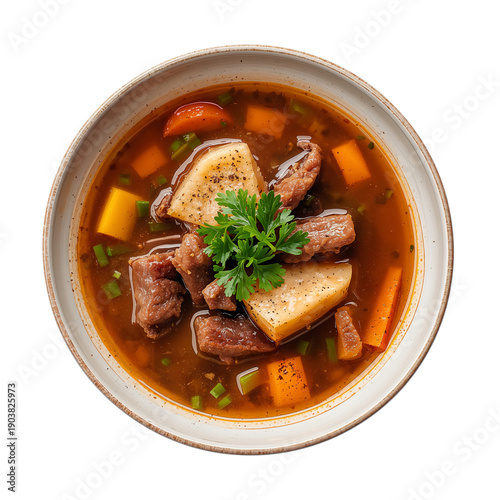 Warm Bowl of Soup With Meat and Vegetables Served in a Simple Dish on a White...