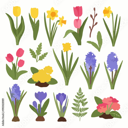 Assorted spring bloomers botanical flat vector illustration isolated on white background