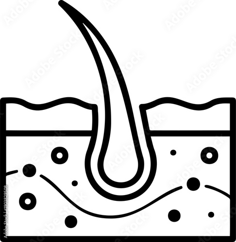 Hair Follicle Anatomy Icon - Skin Layer Cross Section with Root for Dermatology, Hair Care, and Scalp Treatment Illustration