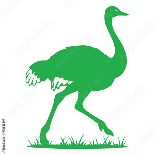 Ostrich Silhouette Vector Illustration