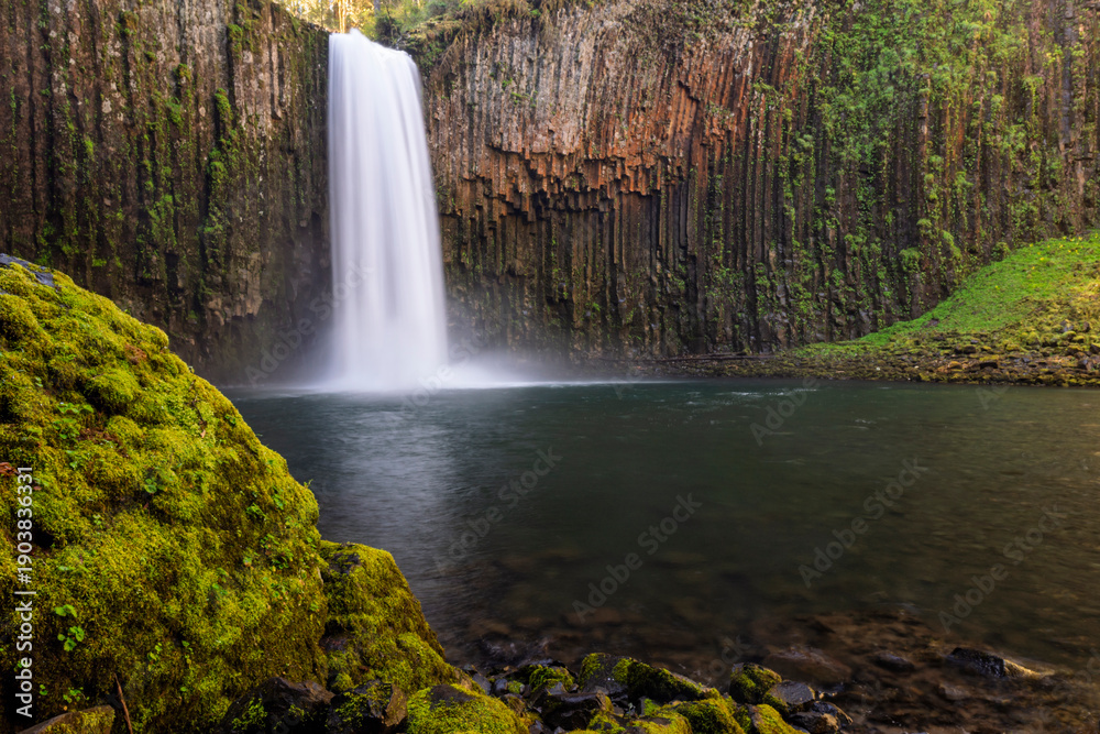 Fototapeta premium A vertical view of Abiqua Falls plunging into a pool, surrounded by unique hexagonal basalt columns and lush green moss in Scotts Mills, Oregon.
