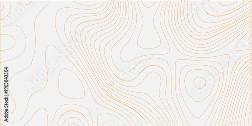 Topographic map lines contour background. Topographic map of wild west abstract vector background. Abstract black and white background featuring a fractal wave pattern with blue energy light and tech 