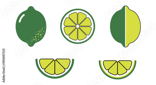 Lime Line art vector digital illustration
