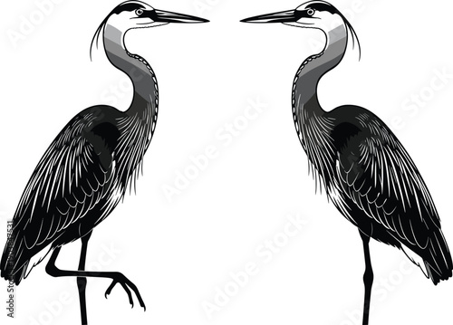 Elegant heron vector illustration, black and white bird artwork, symmetrical avian design, detailed feather patterns, nature inspired drawing, wildlife silhouette, artistic animal sketch