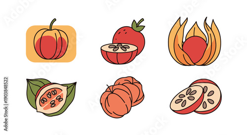 Miracle Fruit Line color art minimal style