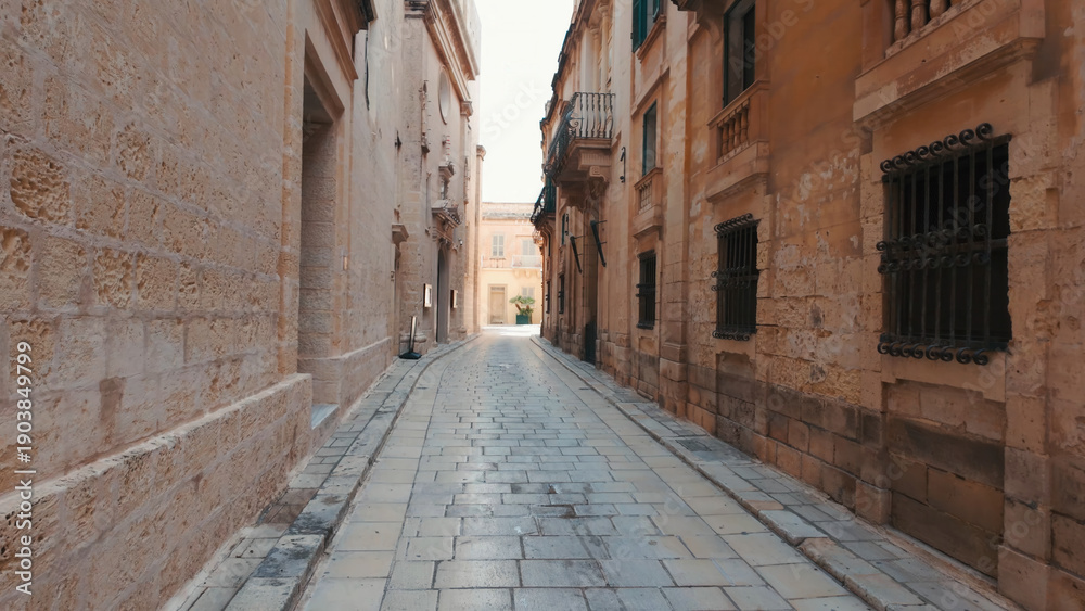 Obraz premium Historical Mdina Old Town in Malta on sunny day